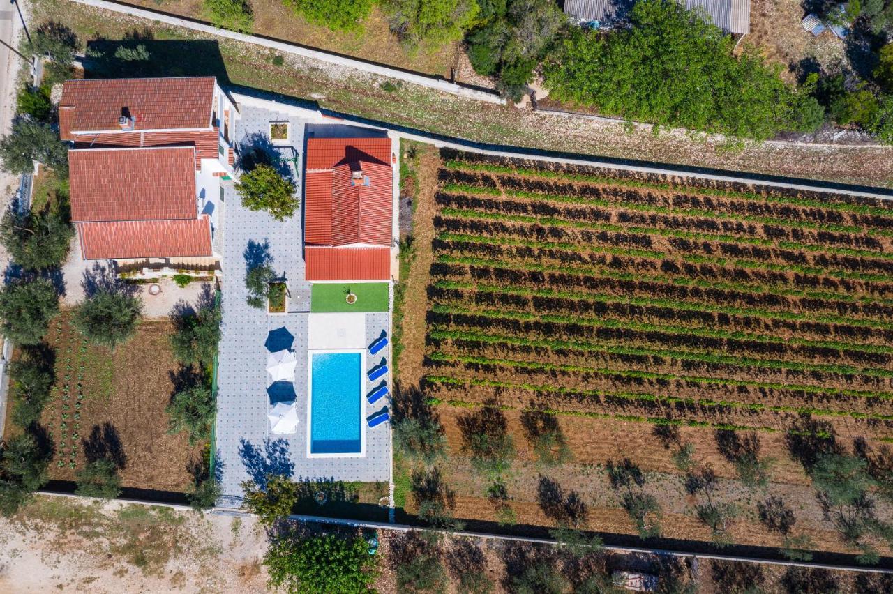 Villa Tome Donje Rastane المظهر الخارجي الصورة
